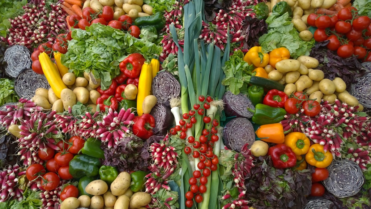 Plant-based nutrition guide